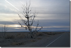 SAM_0422