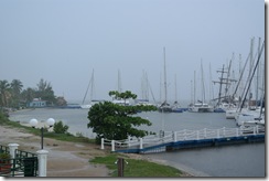 SAM_1317