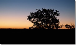 SAM_0275