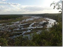 DSC00797