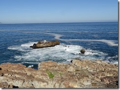 DSC01931