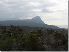 DSC02385
