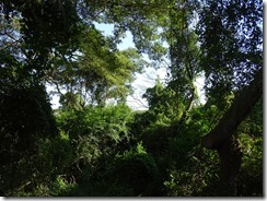 DSC03845
