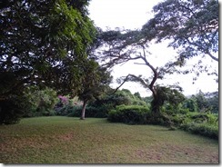 DSC03899