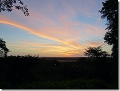 DSC03900
