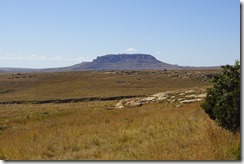 DSC02605