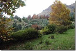 DSC02873