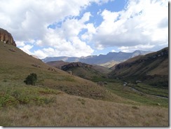 DSC03606
