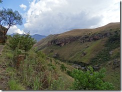 DSC03642